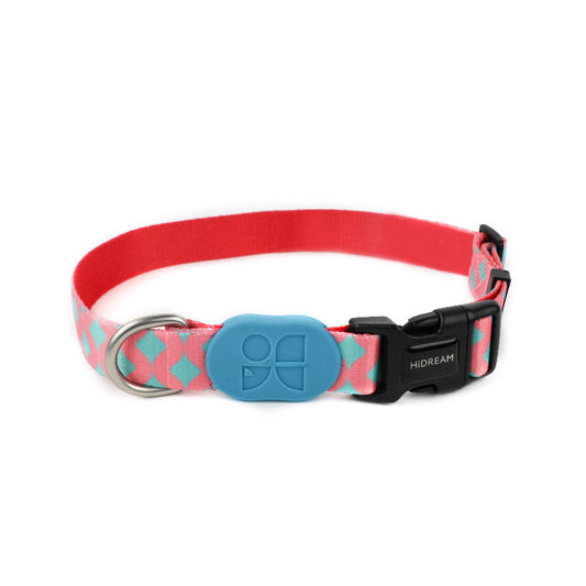 Colorful Series Dog Collar - Bobby