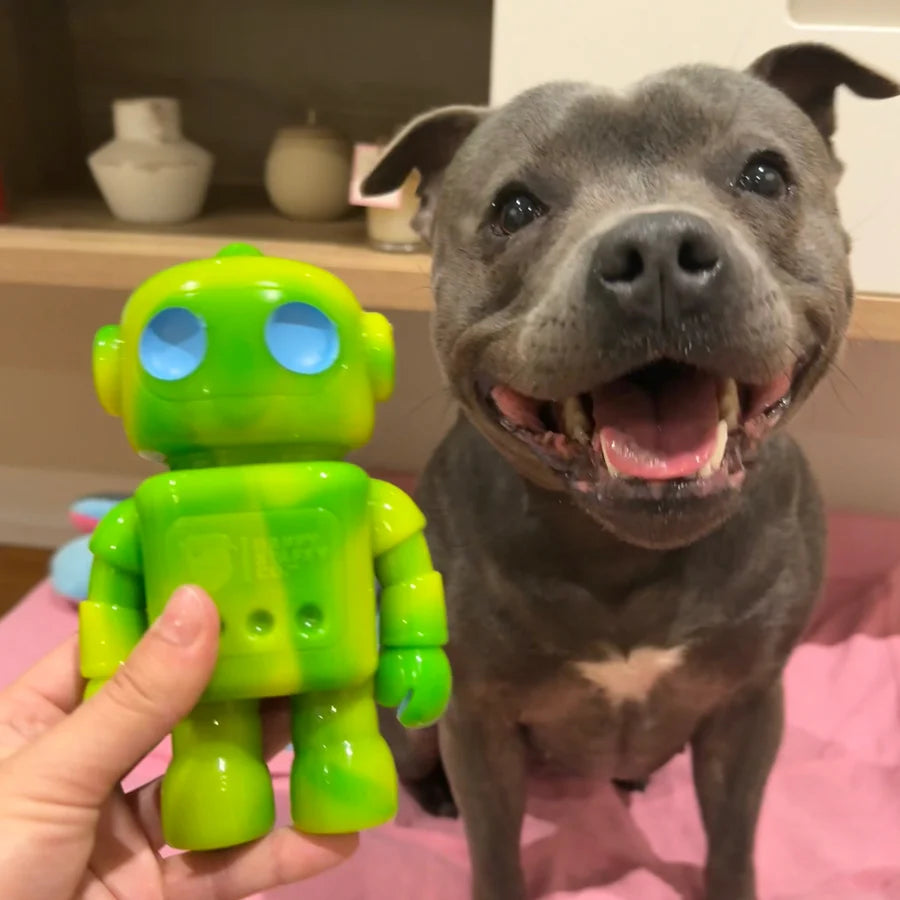 Happy Staffy Co. Musical Bot Dog Chew Toys
