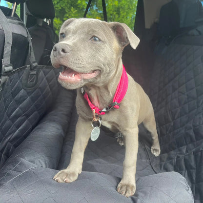 Happy Staffy Co. Car Seat Protector