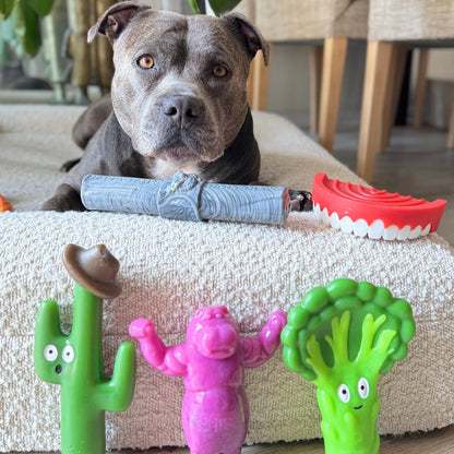HAPPY STAFFY CO BROCCOLI CRUNCH
