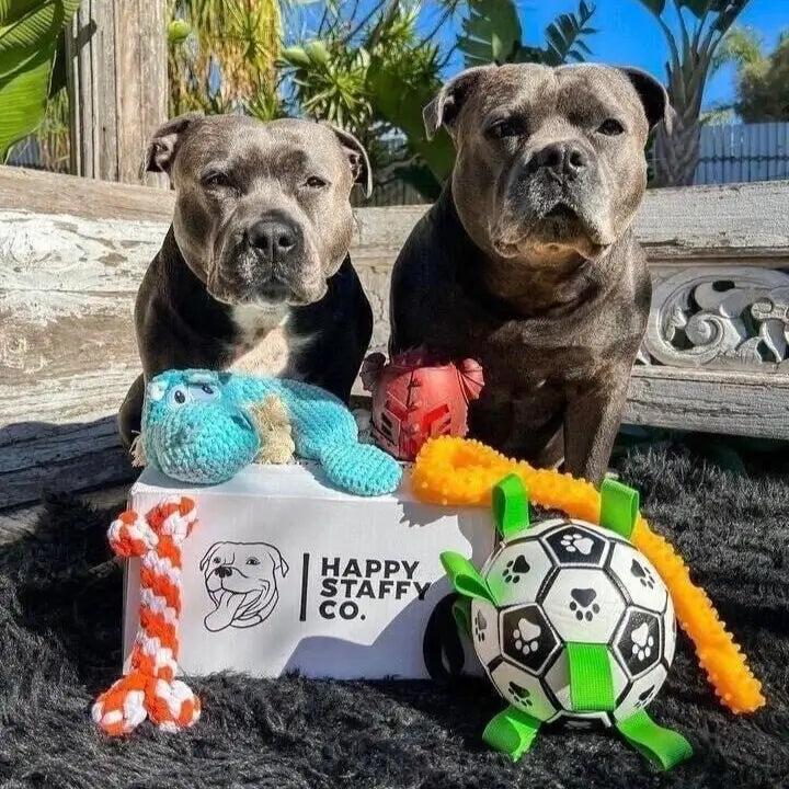 HAPPY STAFFY CO RONALDOG SOCCER BALL