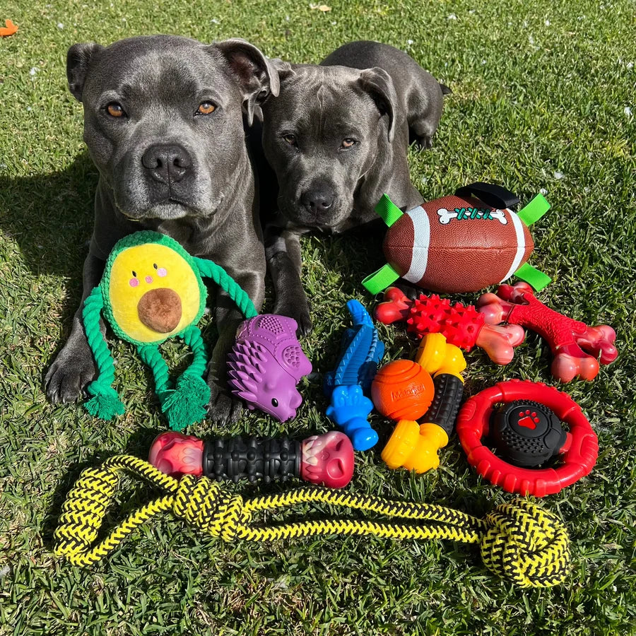 Happy Staffy Co. Power Chew Wheel Dog Chew Toy