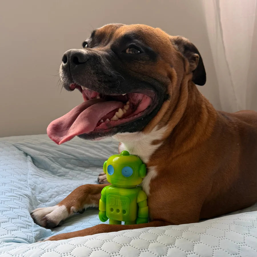 Happy Staffy Co. Musical Bot Dog Chew Toys