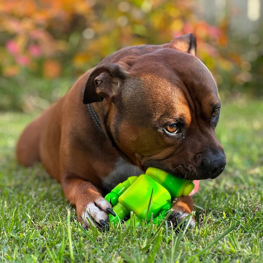 Happy Staffy Co. Musical Bot Dog Chew Toys