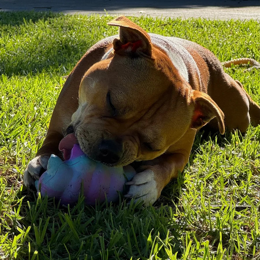 Happy Staffy Co. Cosmo Critter Dog Chew Toys