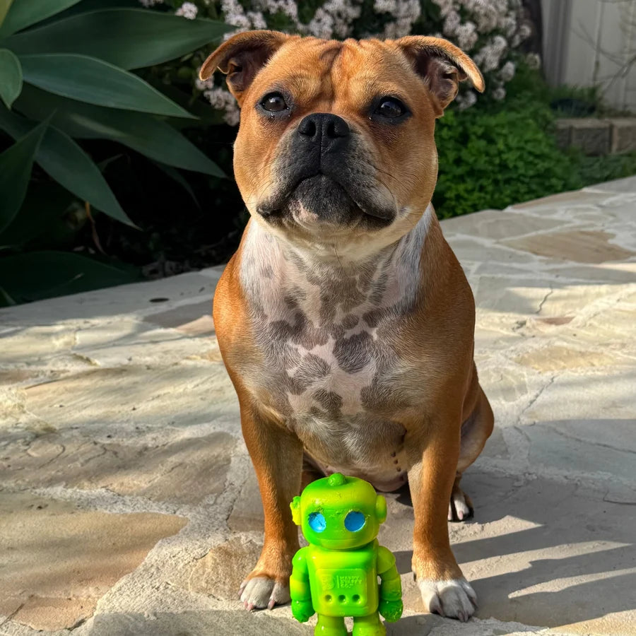 Happy Staffy Co. Musical Bot Dog Chew Toys