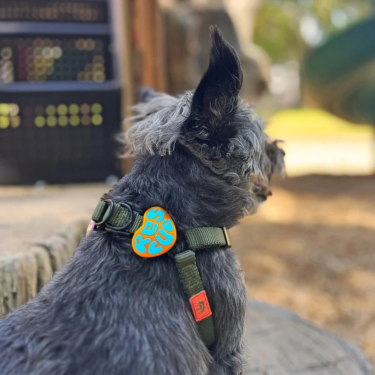 Jiby Dog Charm