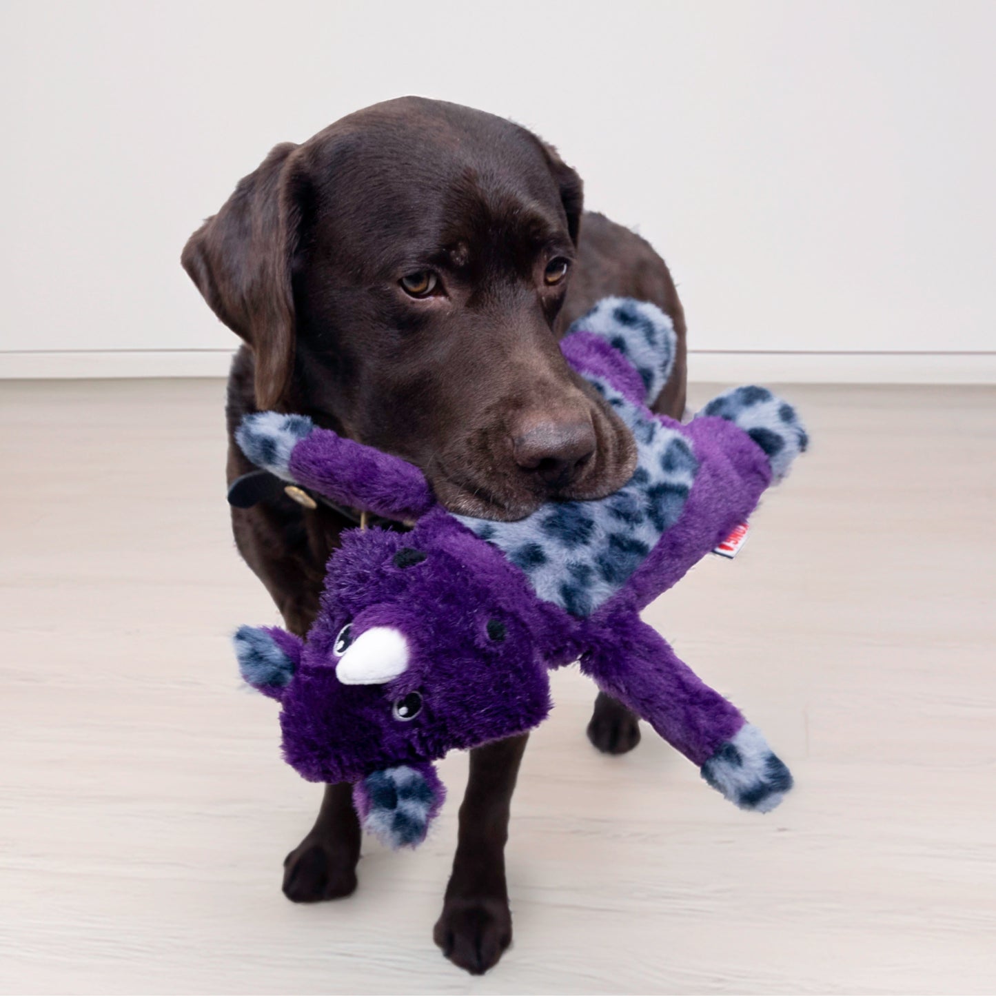 Kong Jungle Jamz Rhino Md/Lg Dog Toy
