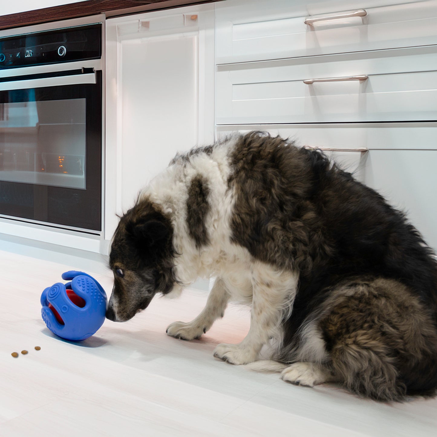 KONG REWARDS WRAPZ Dog Toy For Medium/Large Breeds