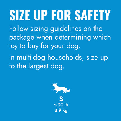 KONG PUPPY FLYER