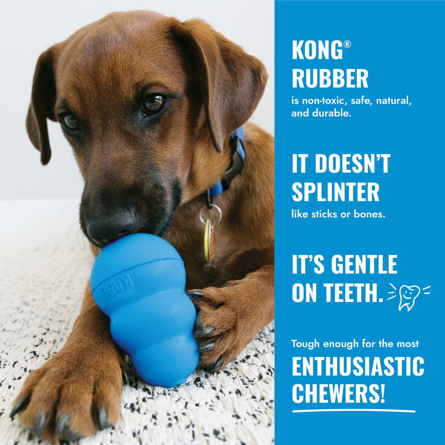 KONG® Puppy Tires Medium/Large Dog Toy