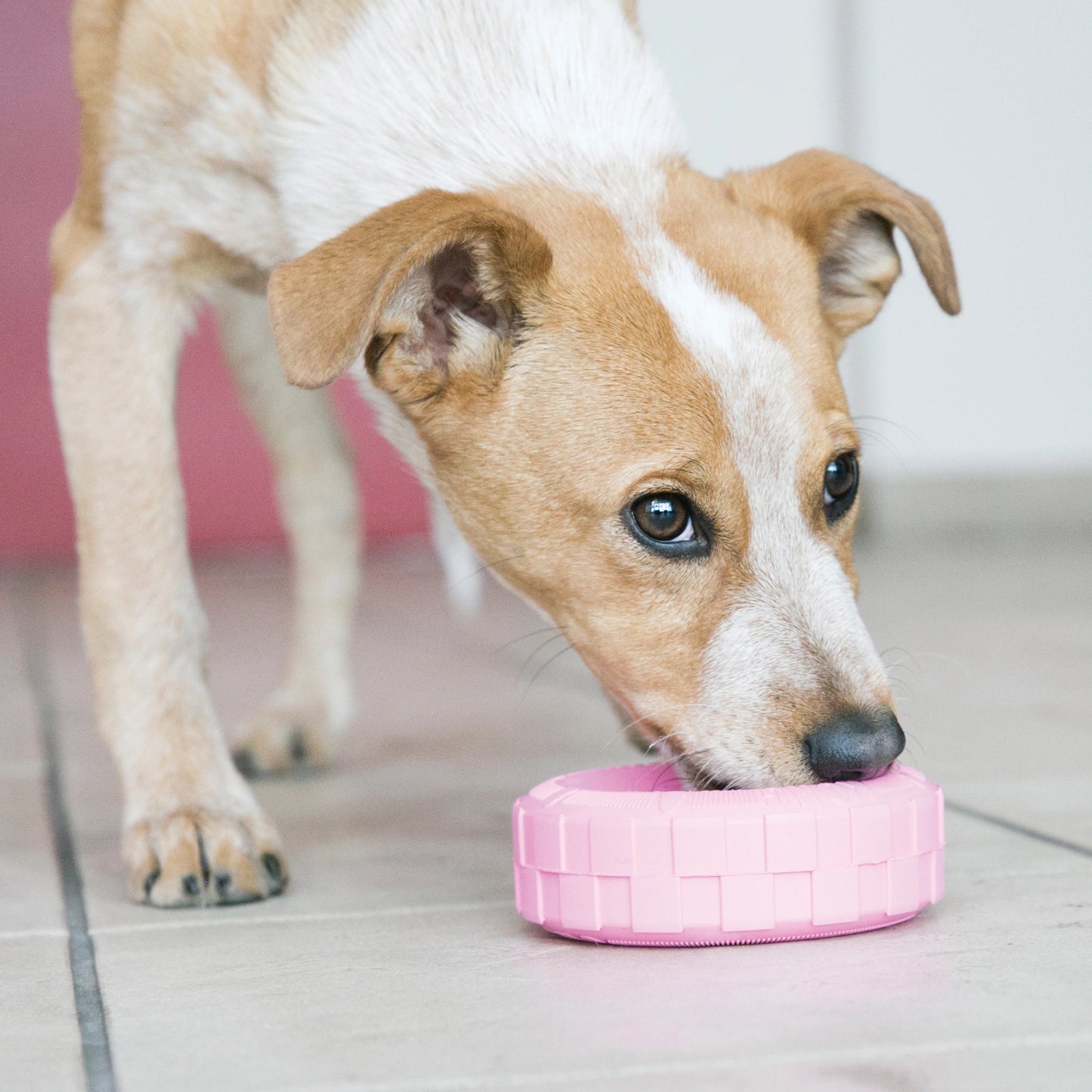 KONG® Puppy Tires Medium/Large Dog Toy