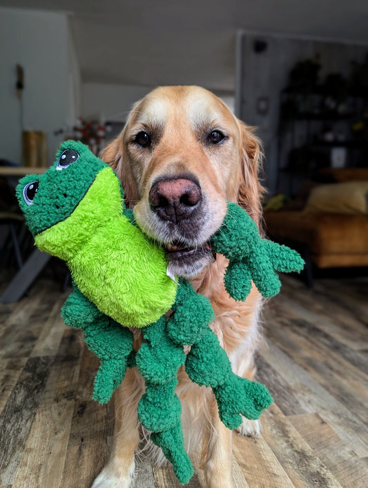 KONG Knots Frog LARGE/XLARGE DOG TOY