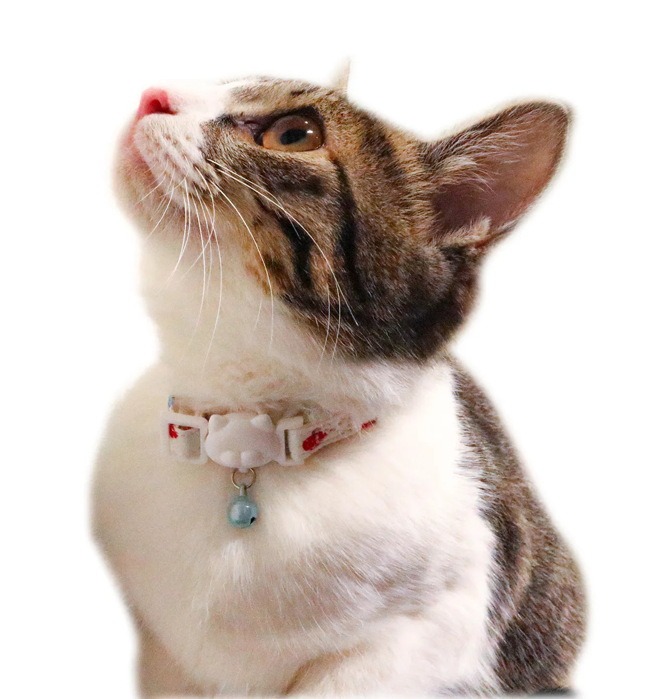 CattyMan Cat Collar -Floral Mushroom Street