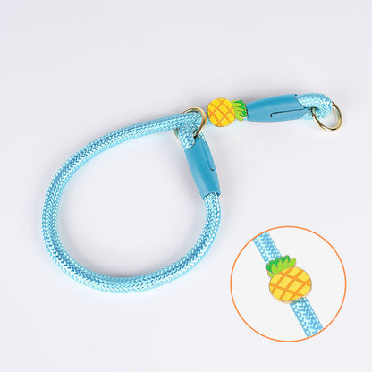 Slip Collar | Short Slip Leash (P-Leash) Connector for Standard Dog Leashes