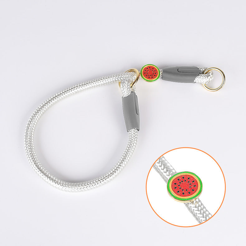 Slip Collar | Short Slip Leash (P-Leash) Connector for Standard Dog Leashes