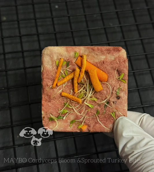 MAYBO FREEZE DRIED MAGIC BOX (LRG 6pk)美寶魔盒-芽苗&虫草花火鸡饼（6枚）