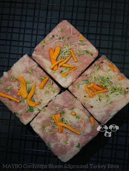 MAYBO FREEZE DRIED MAGIC BOX (LRG 6pk)美寶魔盒-芽苗&虫草花火鸡饼（6枚）
