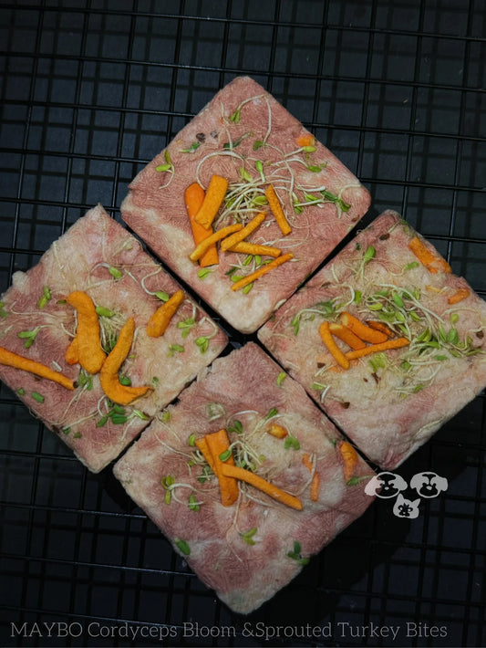 MAYBO FREEZE DRIED MAGIC BOX (LRG 6pk)美寶魔盒-芽苗&虫草花火鸡饼（6枚）