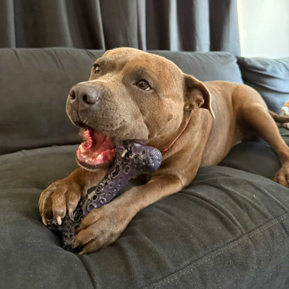 HAPPY STAFFY Cosmic Crater Bone