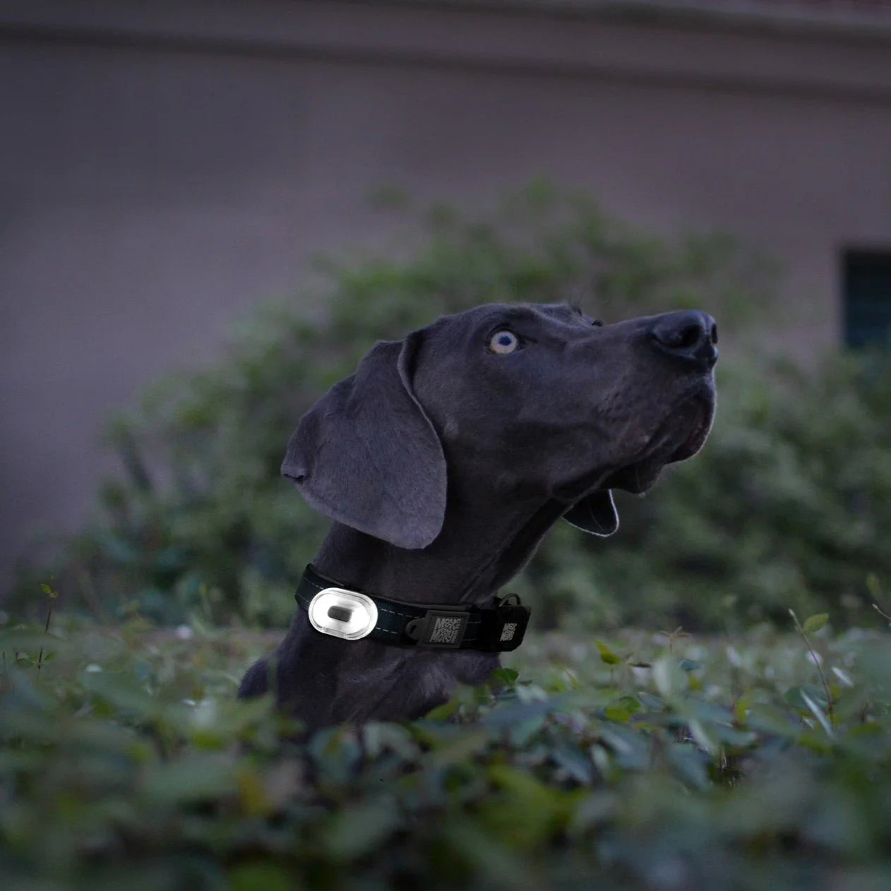 MAX & MOLLY MATRIX 2.0 ULTRA LED SAFETY LIGHT - BLACK