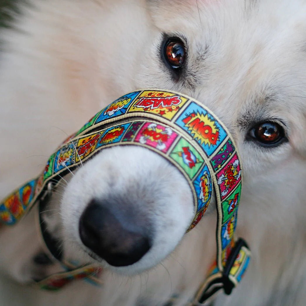 MAX & MOLLY DOG LEASH - COMIC