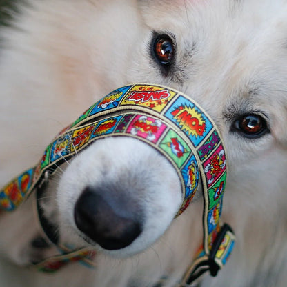 MAX & MOLLY DOG LEASH - COMIC
