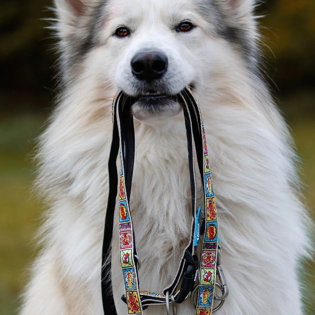 MAX & MOLLY DOG LEASH - COMIC