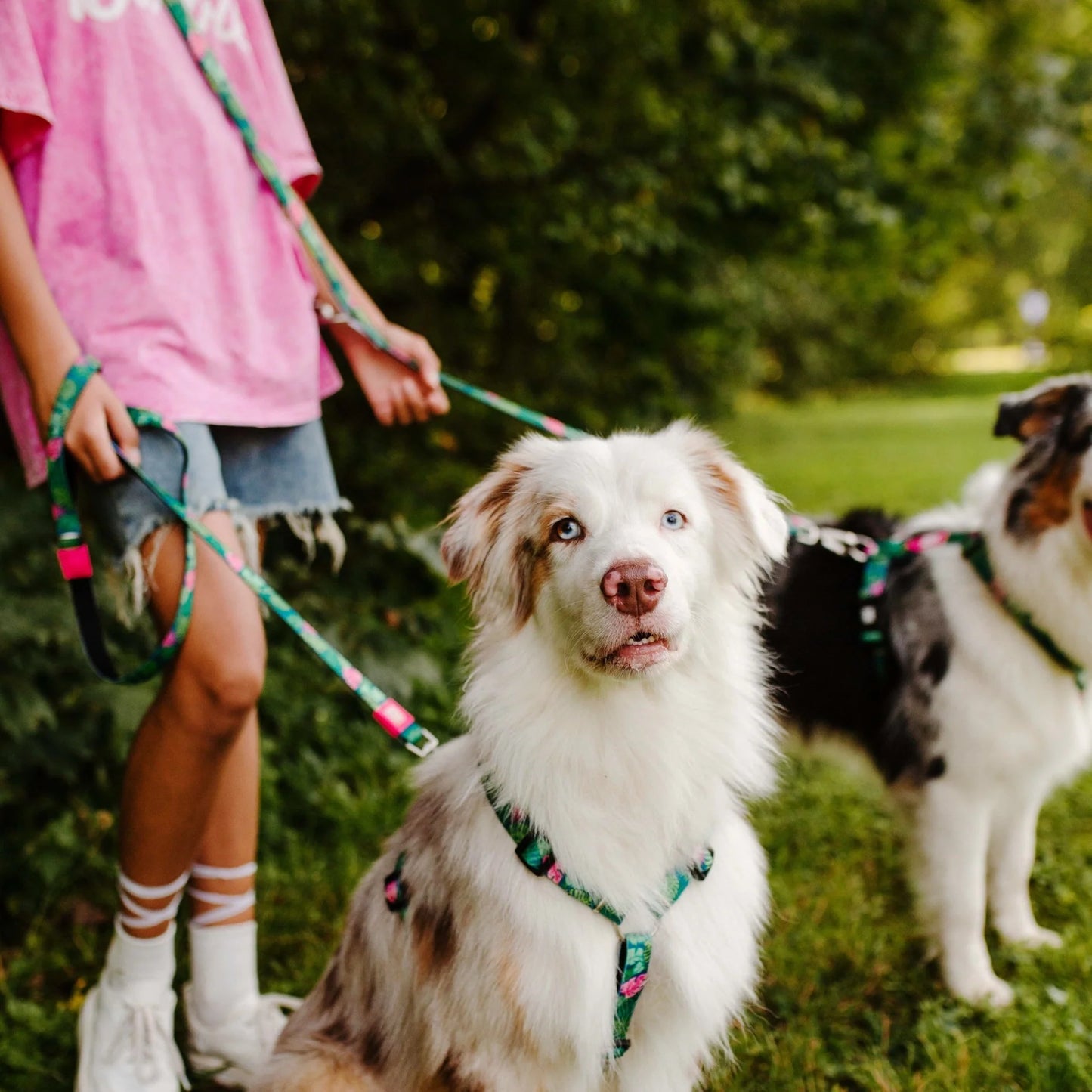 MAX & MOLLY DOG LEASH - TROPICAL