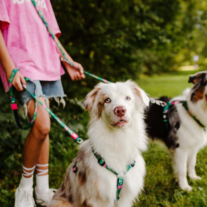 MAX & MOLLY DOG LEASH - TROPICAL