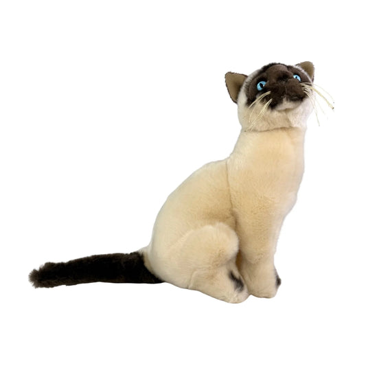 Bocchetta Plush Noodles - Siamese Cat - 26cm, sitting