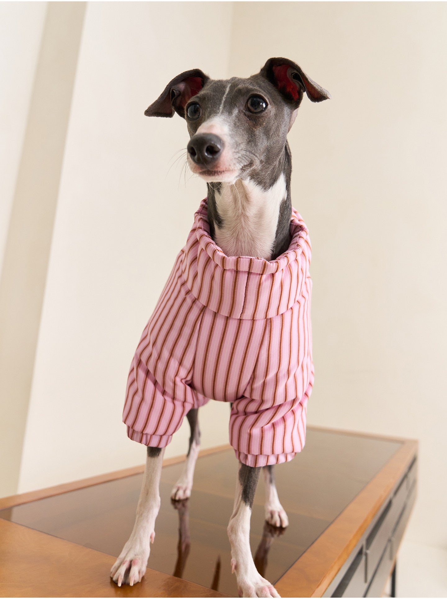 ZEZE Striped Full-Body Dog Puffer Jacket