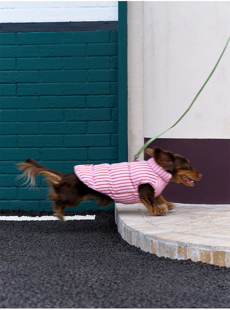 ZEZE Striped Small Dog Puffer Jacket