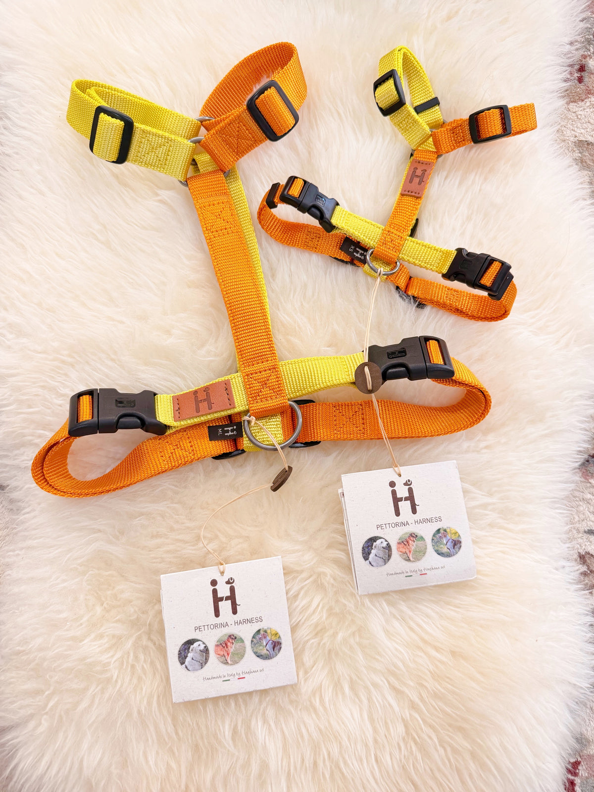 Haqihana Harness H - OCE Limited Edition