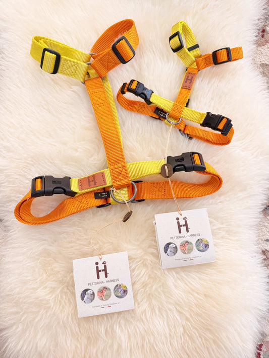 Haqihana Harness H - OCE Limited Edition