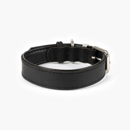 Ezydog Oxford Leather Classic Dog Collar - Black