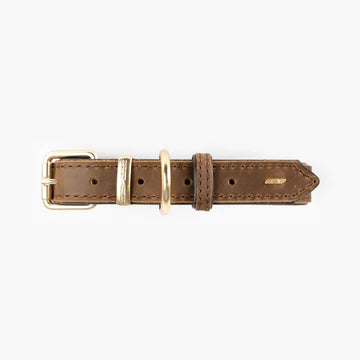 Ezydog Oxford Leather Classic Dog Collar - Brown