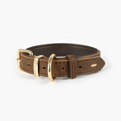 Ezydog Oxford Leather Classic Dog Collar - Brown