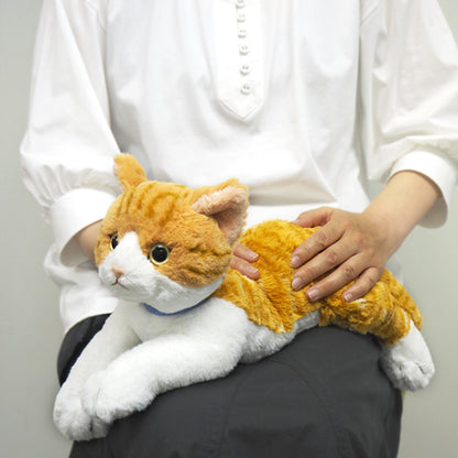 LYING CAT STUFFED TOY M CHASHIRO