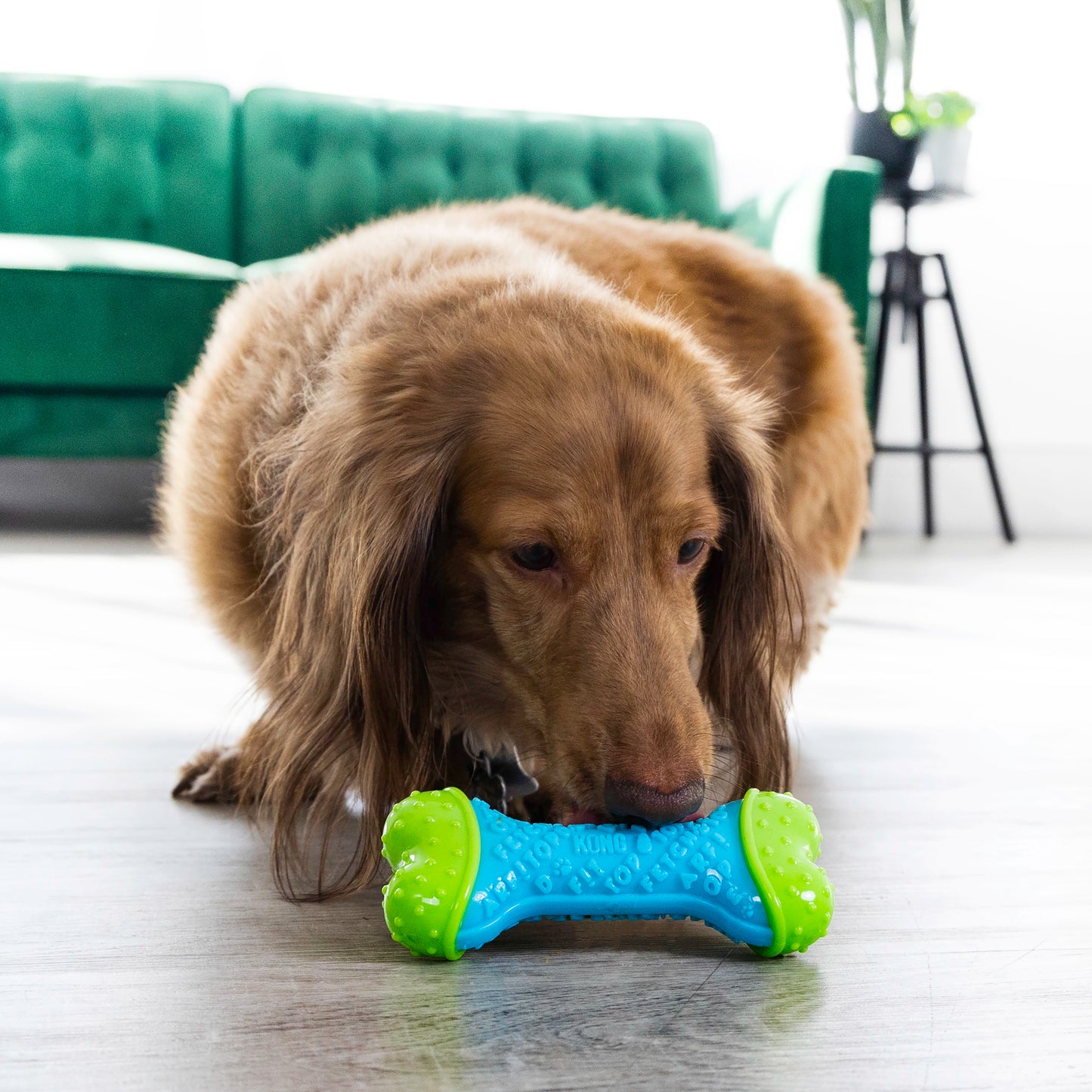 KONG CoreStrength™ Bone Dog Chew Toy Md/Lg