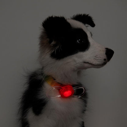 PIDAN Dogs Safety Light