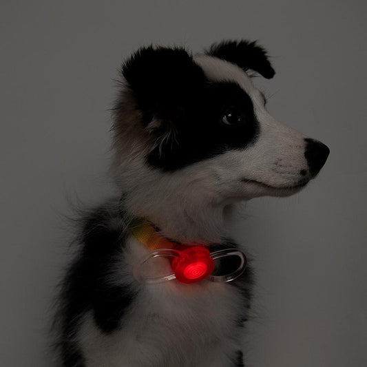 PIDAN Dogs Safety Light