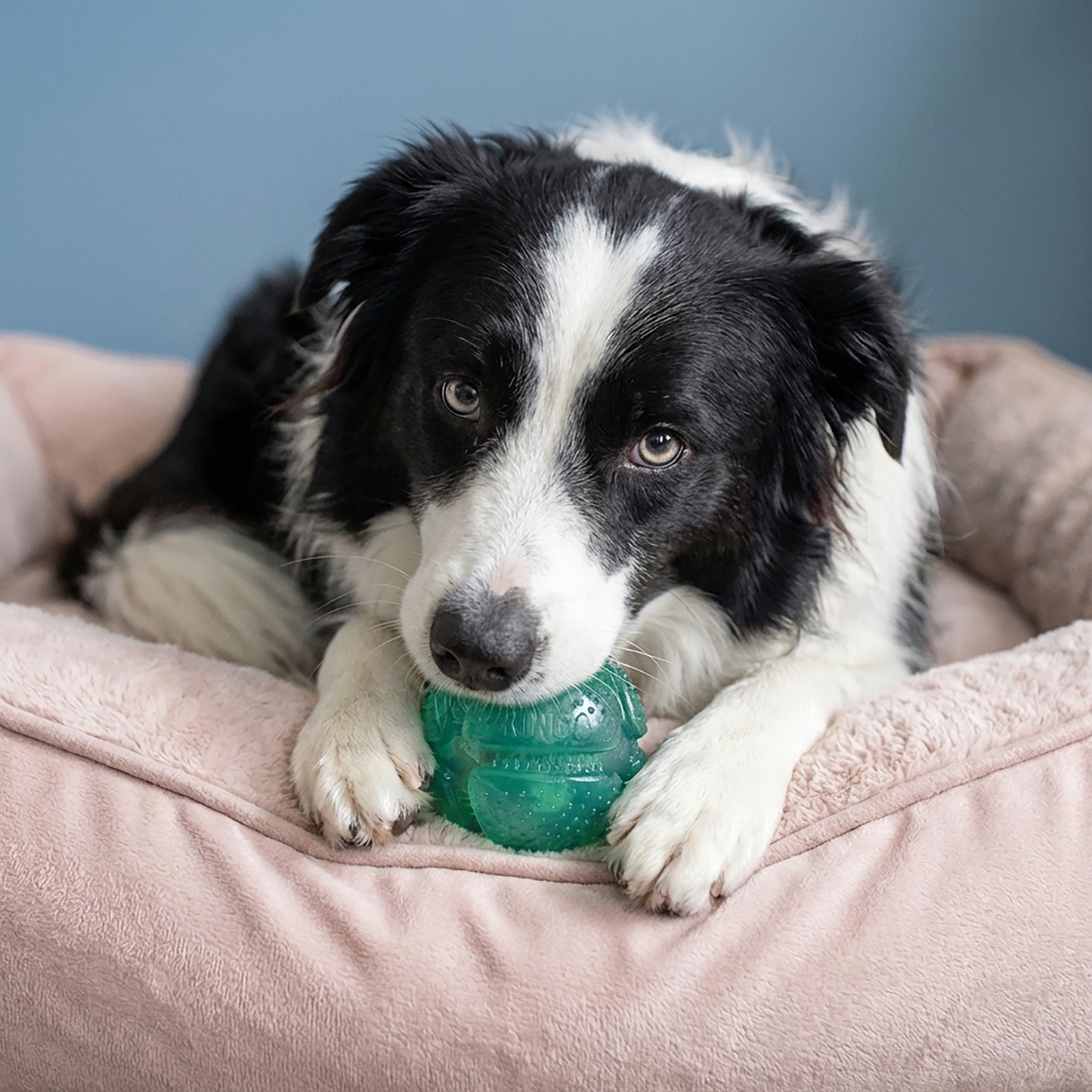 KONG SQUEEZZ DENTAL BALL