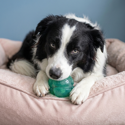KONG SQUEEZZ DENTAL BALL