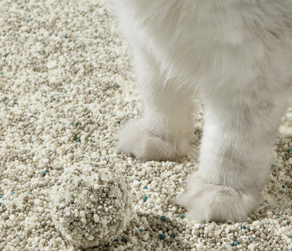 Petshy Plant Mixed Bentonite Cat Litter