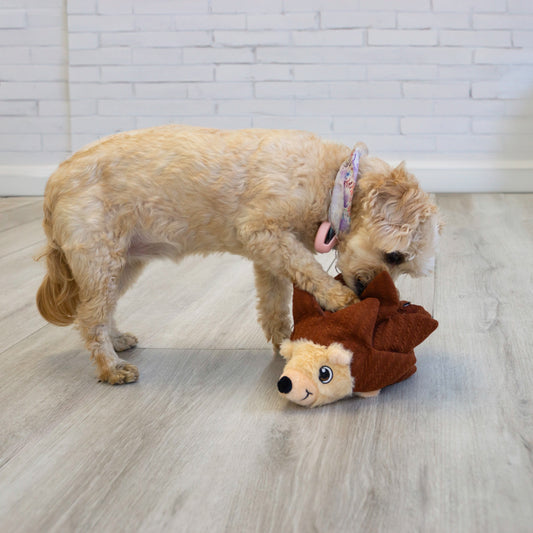 Kong JLayerz Forage Hedgehog Medium Dog Toy