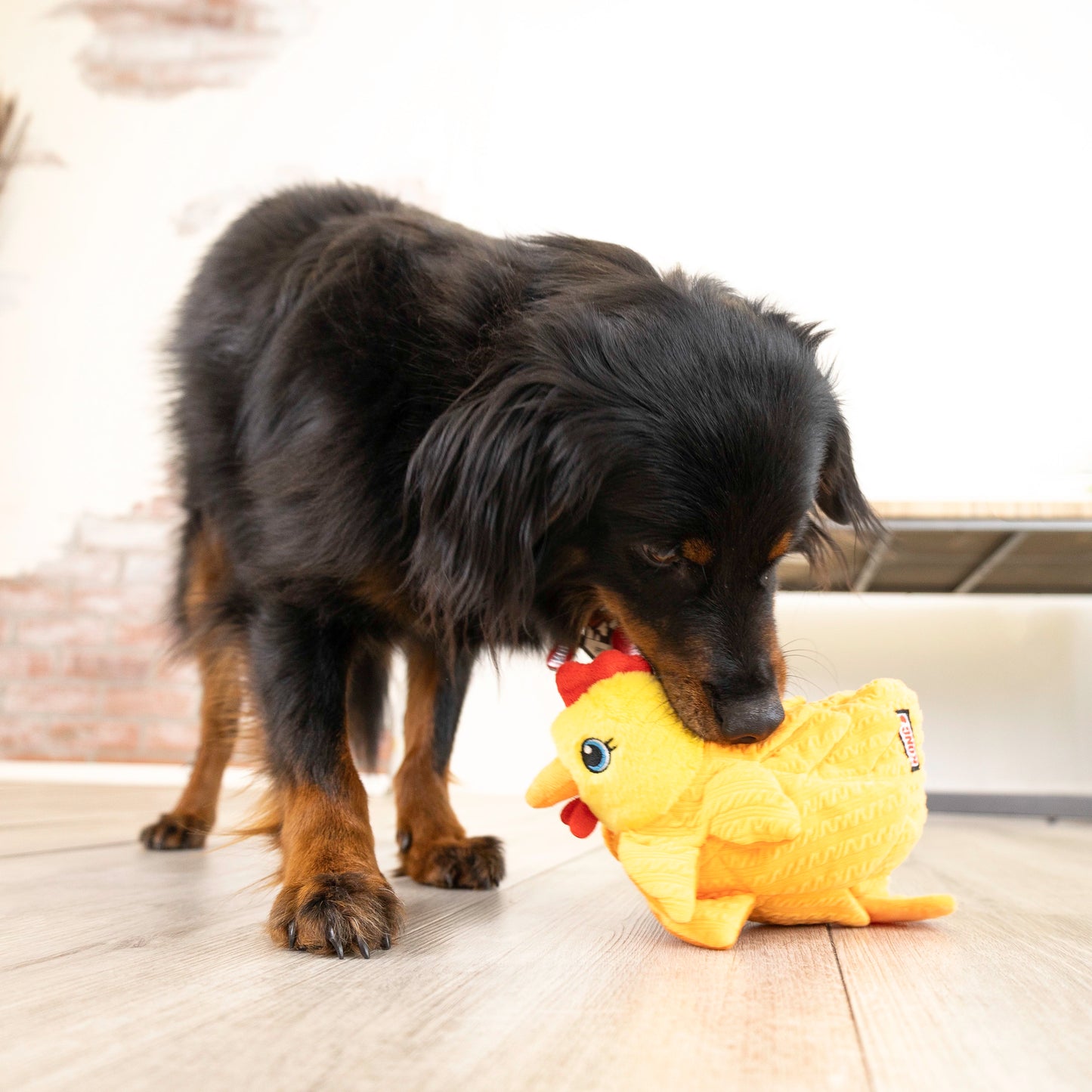 Kong JLayerz Forage Hen Medium Dog Toy