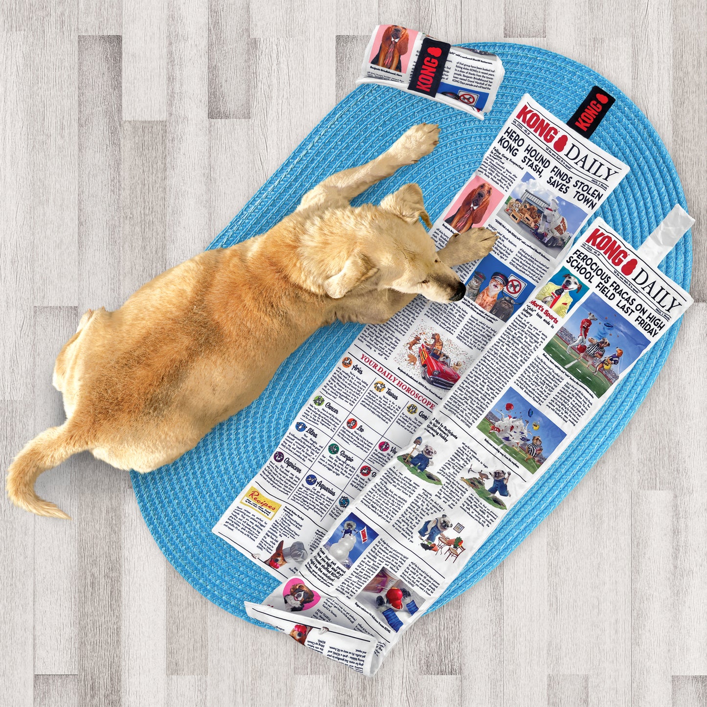 KONG Daily Newspaper Dog Toy