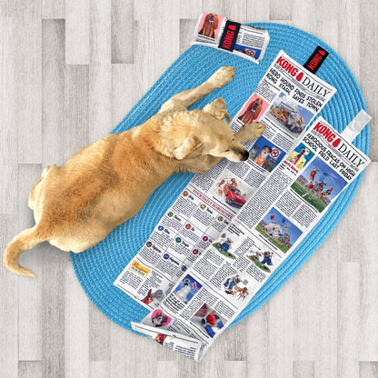 KONG Daily Newspaper Dog Toy