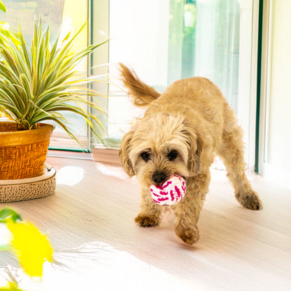 KONG PUPPY Rope Ball Assorted LARGE (Blue/Pink)